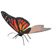 Eureka-ME Monarch Butterfly